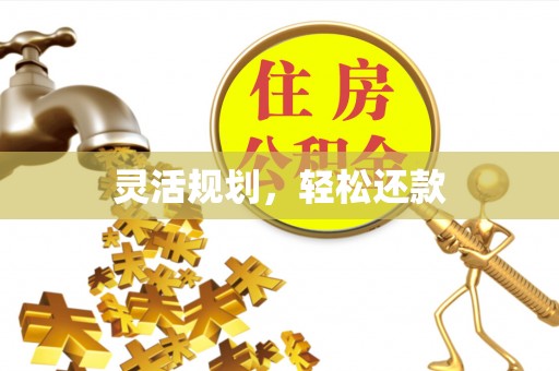兴化灵活规划，轻松还款