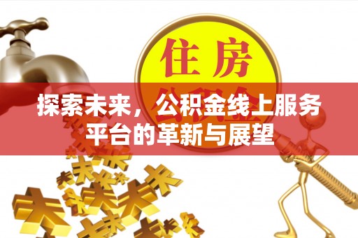 兴化探索未来，公积金线上服务平台的革新与展望