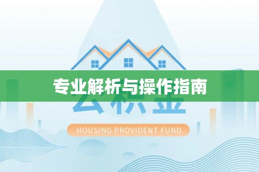 兴化专业解析与操作指南