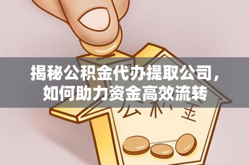 兴化揭秘公积金代办提取公司，如何助力资金高效流转