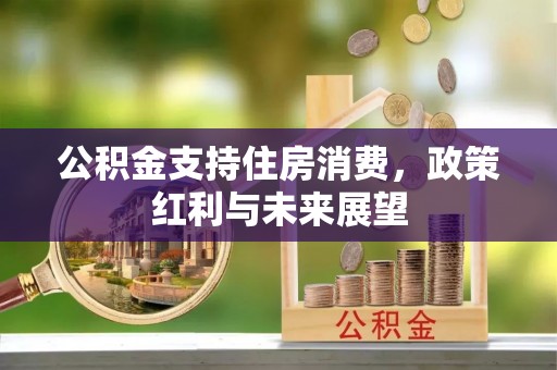 兴化公积金支持住房消费，政策红利与未来展望