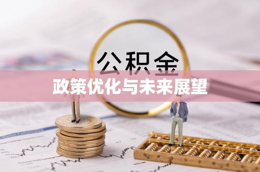 兴化政策优化与未来展望