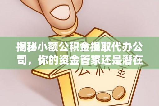 兴化揭秘小额公积金提取代办公司，你的资金管家还是潜在风险？