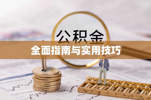 兴化全面指南与实用技巧