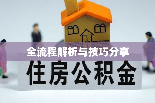 兴化全流程解析与技巧分享